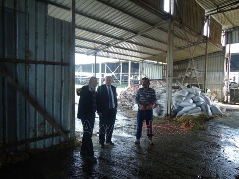 BAYRAKTAR’DAN YANGIN ÇIKAN BESİ ÇİFTLİĞİNDE İNCELEME