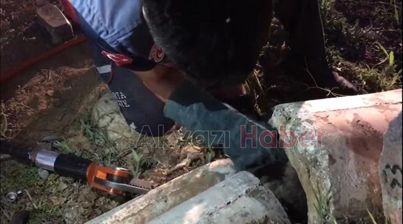 Beton Boruya Sıkışan Köpek Kurtarıldı