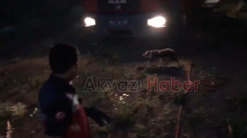 Beton Boruya Sıkışan Köpek Kurtarıldı