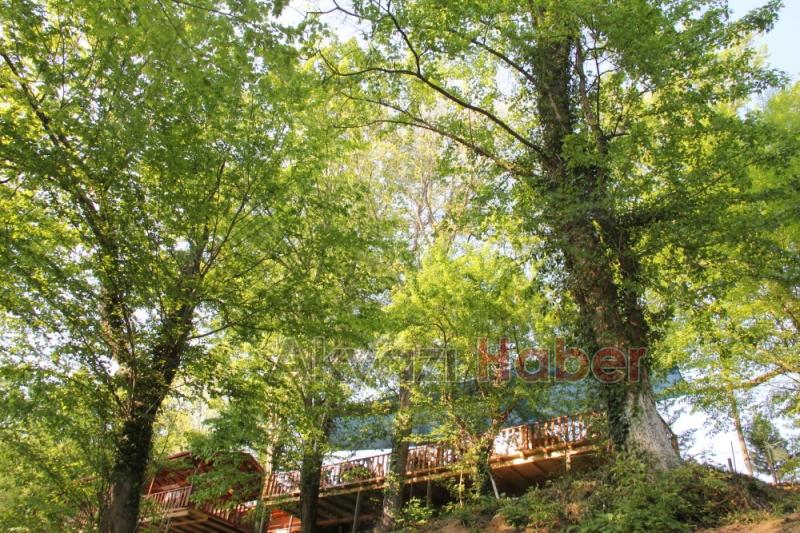  Bıçkıdere Tarcan Tesisleri Yarın Açılıyor