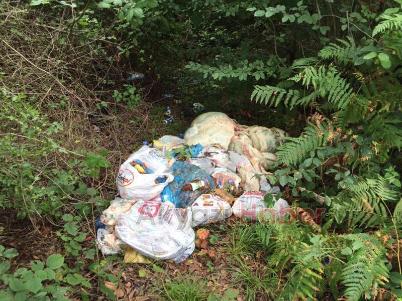 Bir İşkembe de Küçücek Ormanında