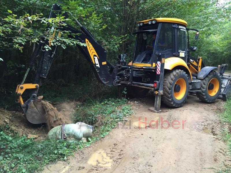 Bir İşkembe de Küçücek Ormanında