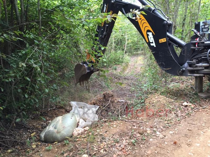 Bir İşkembe de Küçücek Ormanında