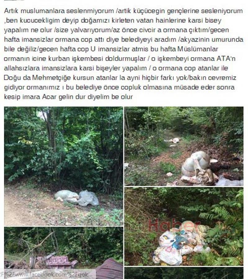 Bir İşkembe de Küçücek Ormanında