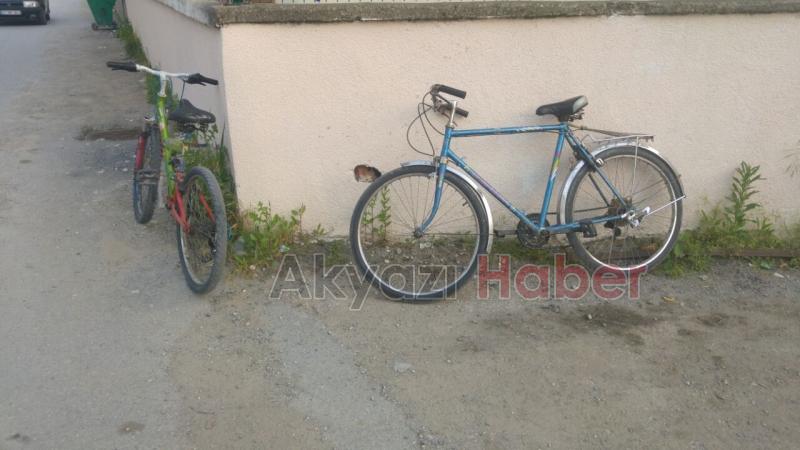 Bisiklet Süren 3 Çocuk Kamyonete Çarparak Durabildi