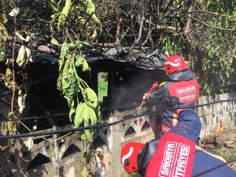  Bit Saran Kümesi Yakmak İstedi Olanlar Oldu