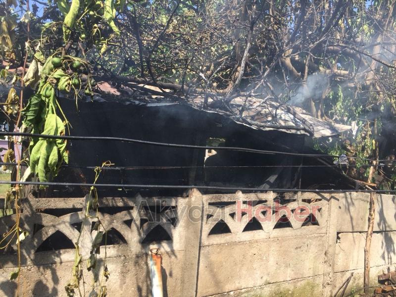  Bit Saran Kümesi Yakmak İstedi Olanlar Oldu