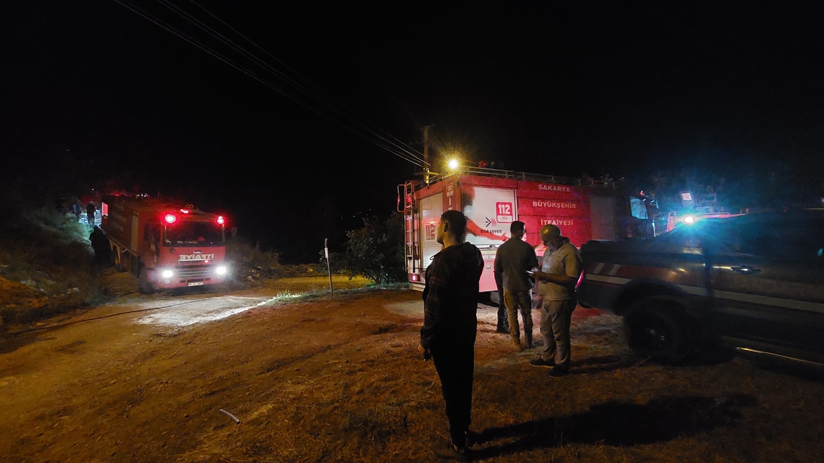Akyazı'daki orman yangını söndürüldü