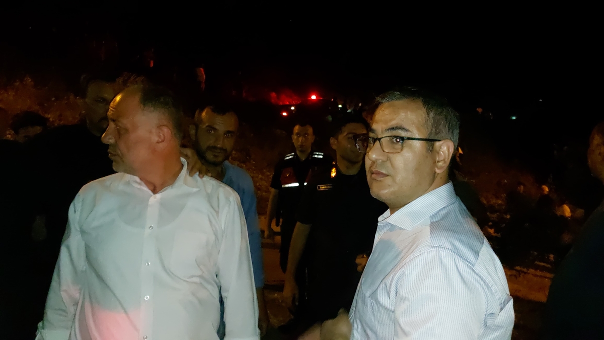 Akyazı'daki orman yangını söndürüldü