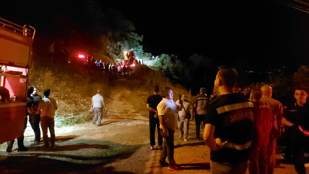 Akyazı'daki orman yangını söndürüldü