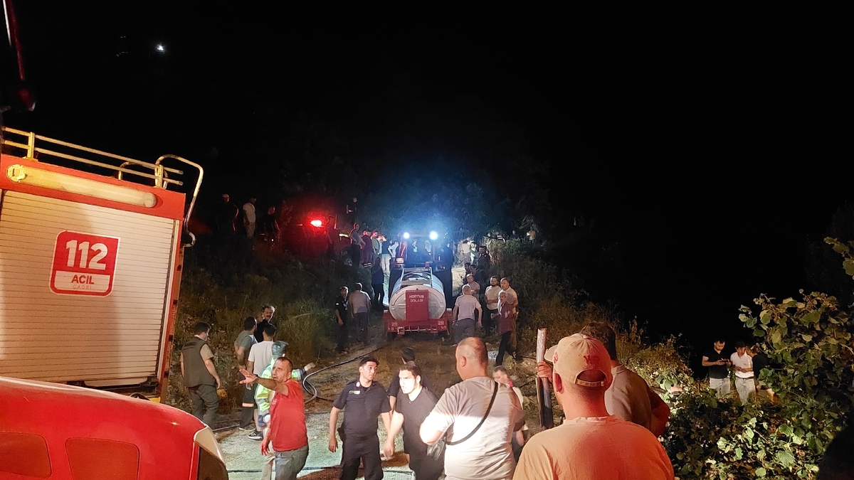 Akyazı'daki orman yangını söndürüldü