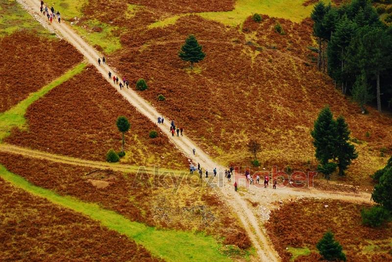 Bu güzellikler sizi bekliyor