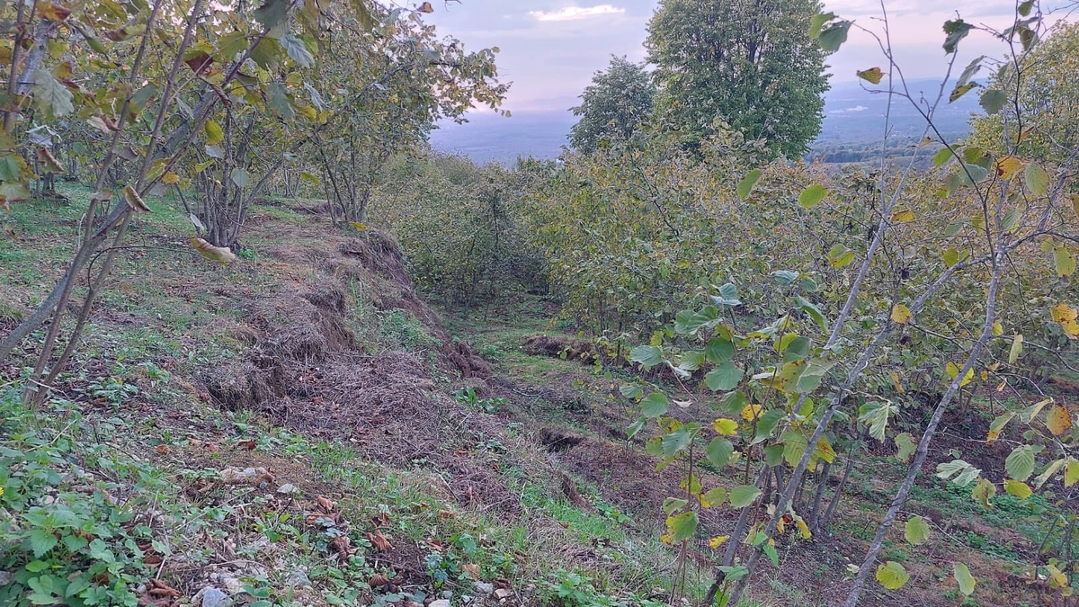Bu mahalle çökme korkusu ile yaşıyor