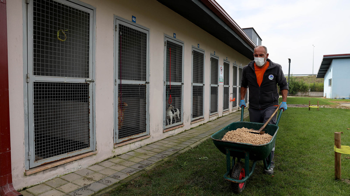 Büyükşehir yemek atıklarını mamaya dönüştürüyor