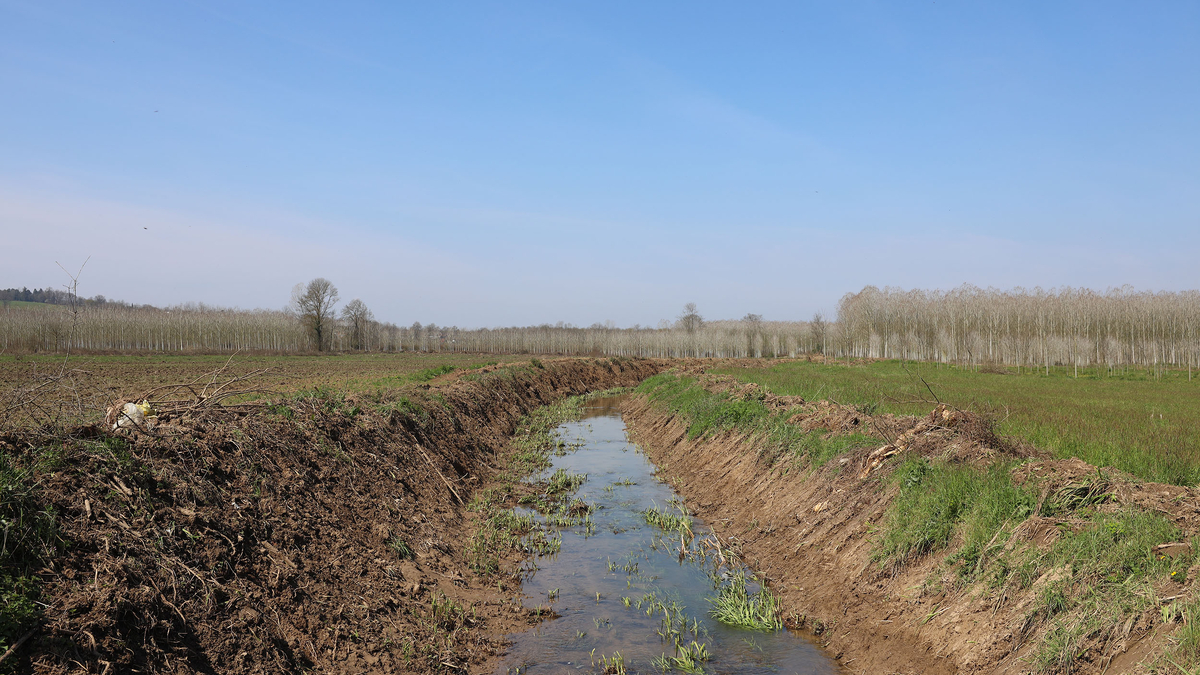 Büyükşehir’den tarıma can suyu