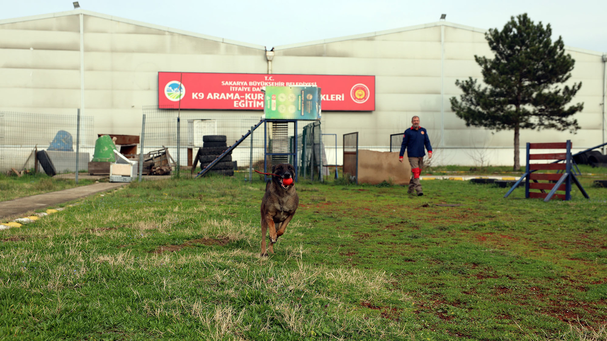 Büyükşehirin K9 Arama Kurtarma köpekleri göreve hazır