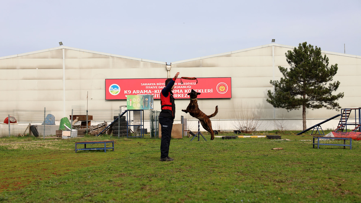 Büyükşehirin K9 Arama Kurtarma köpekleri göreve hazır