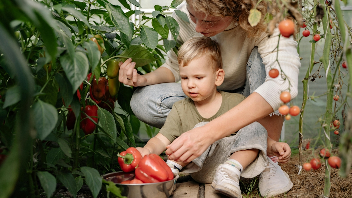 Büyükşehir’in kuracağı tarım atölyesinde toprak kaşiflere göreve başlayacak