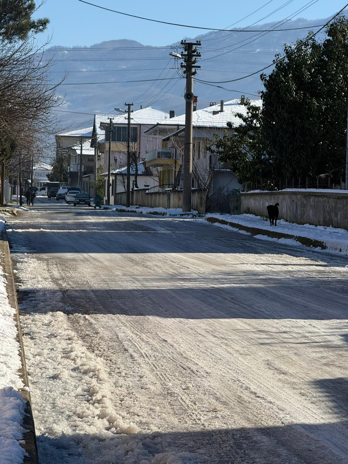 Buzlanma engeli: Akyazı’da sınıflar neredeyse boş kaldı