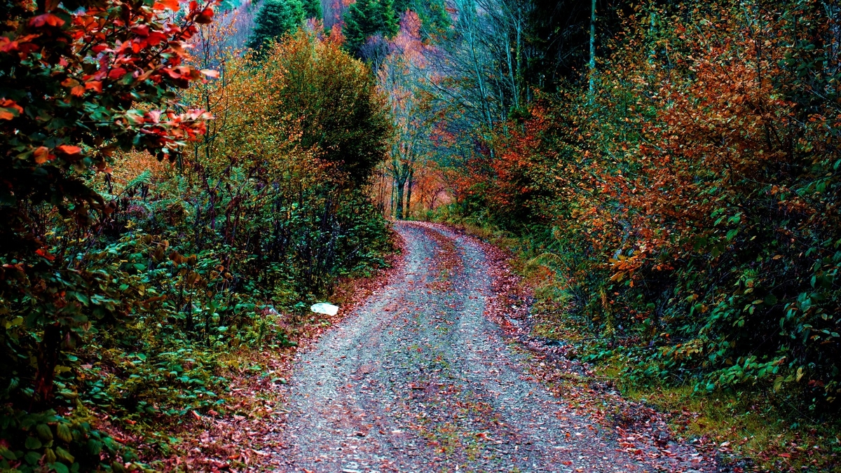 Çam Dağı'ndan kartpostallık fotoğraflar