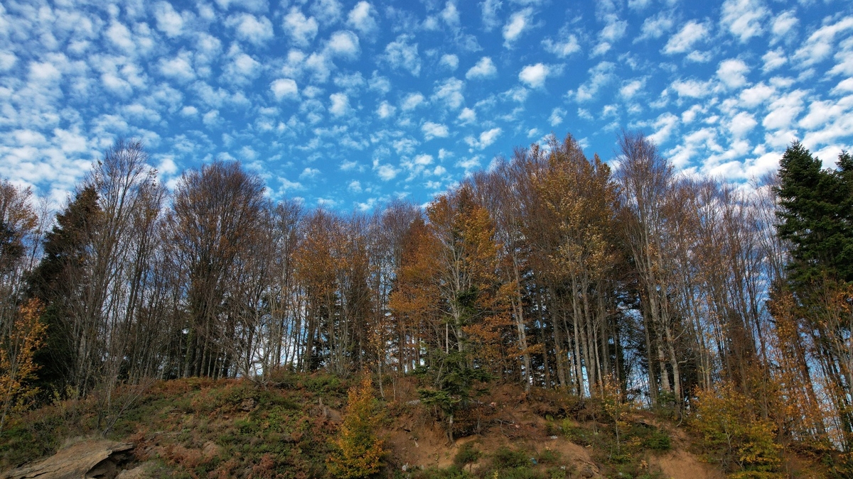 Çam Dağı'ndan kartpostallık fotoğraflar