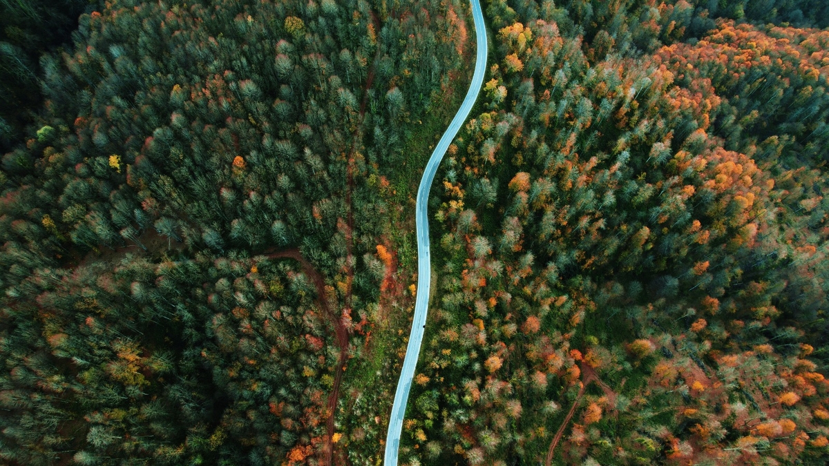 Çam Dağı'ndan kartpostallık fotoğraflar