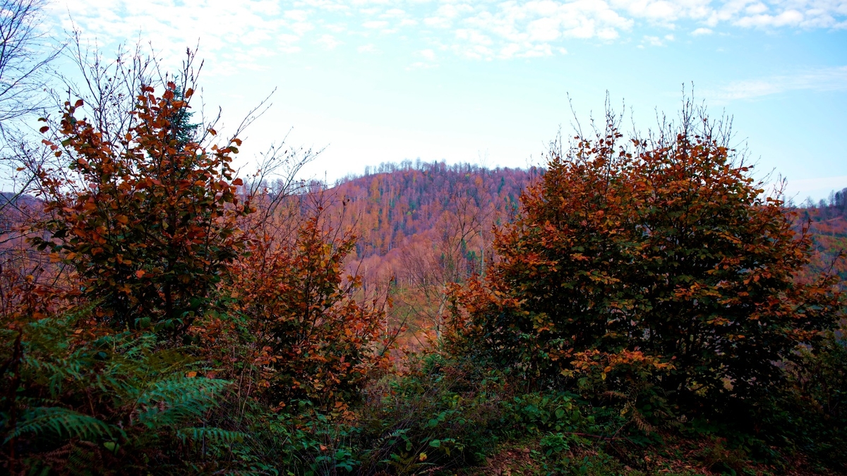 Çam Dağı'ndan kartpostallık fotoğraflar
