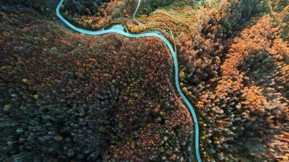 Çam Dağı'ndan kartpostallık fotoğraflar