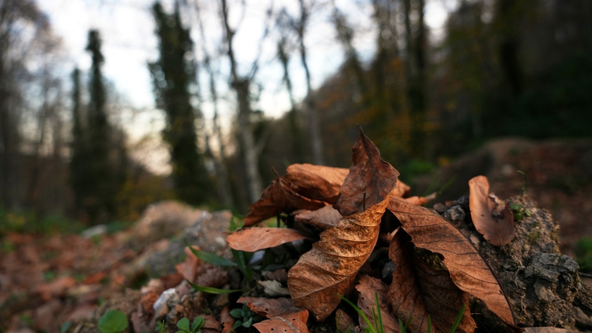 Çam Dağı'ndan kartpostallık fotoğraflar