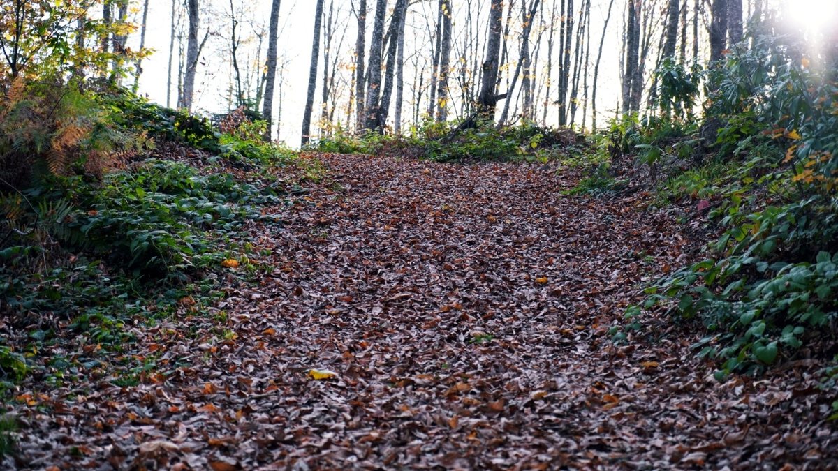 Çam Dağı'ndan kartpostallık fotoğraflar