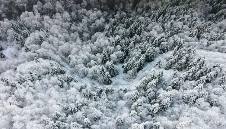 Çam Dağı yolu trafiğe kapatıldı
