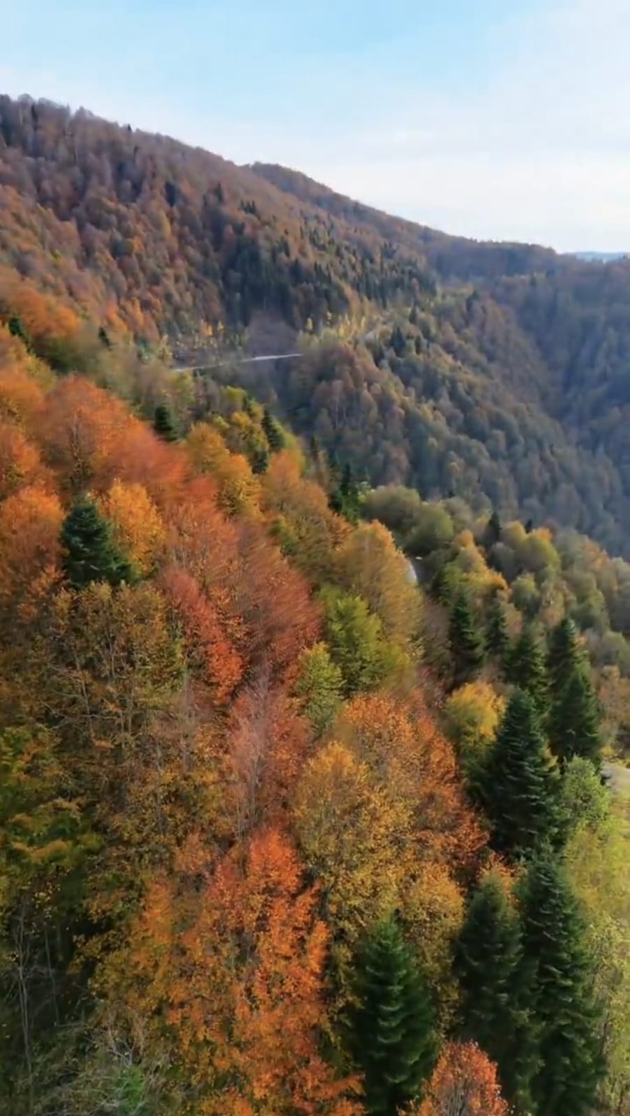 Çamdağı'nda görsel şölen