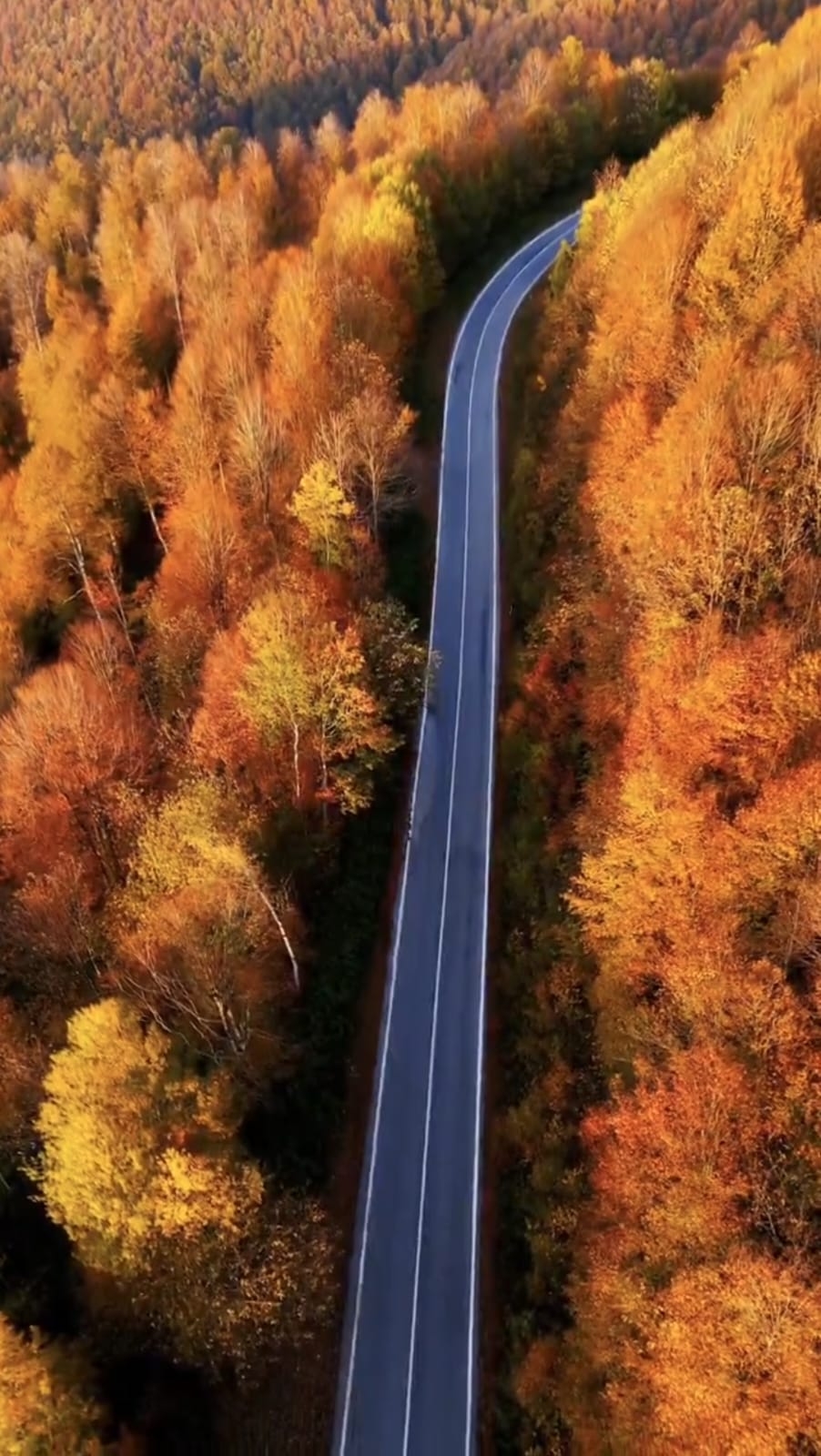Çamdağı'nda görsel şölen