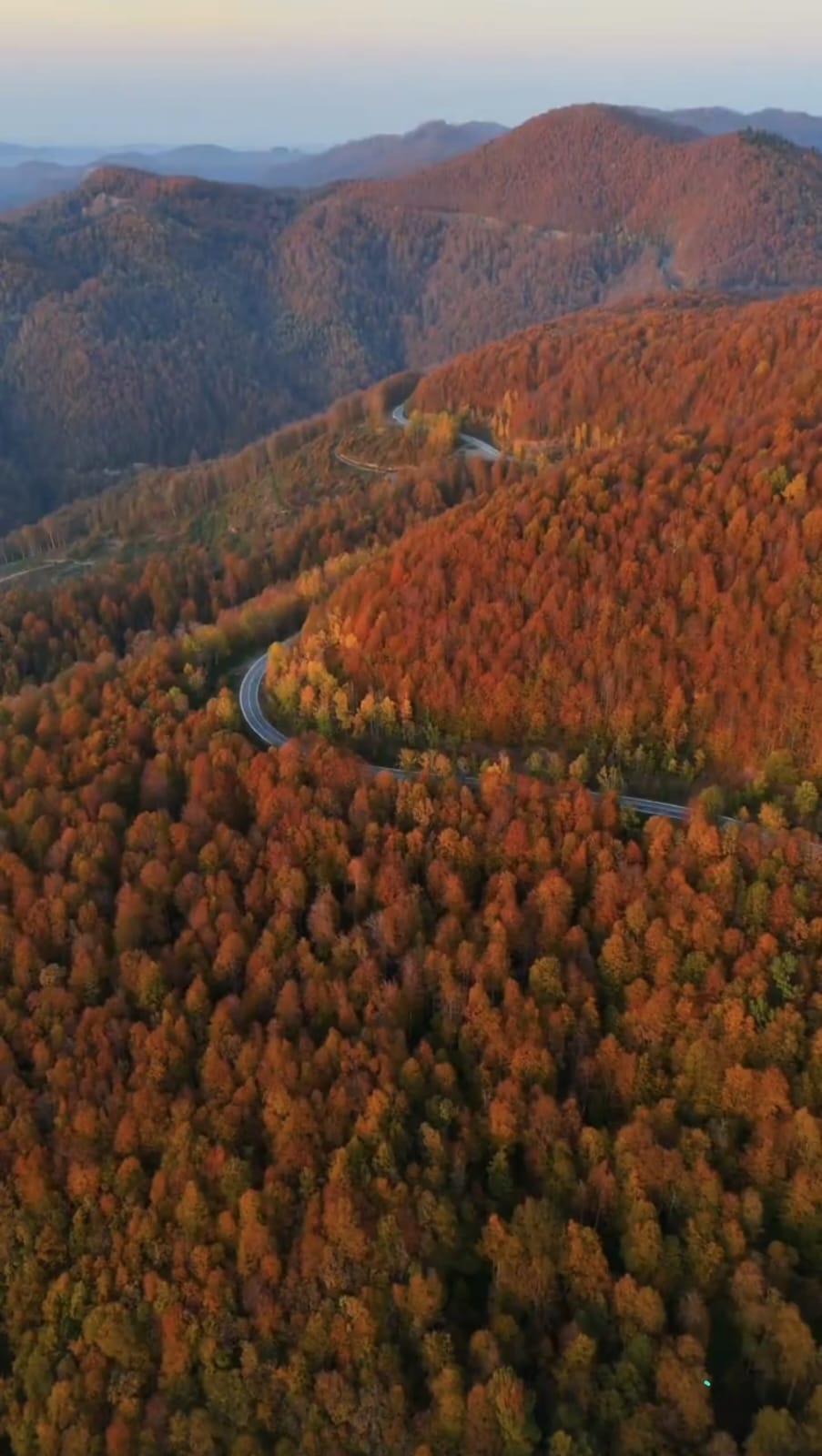 Çamdağı'nda görsel şölen