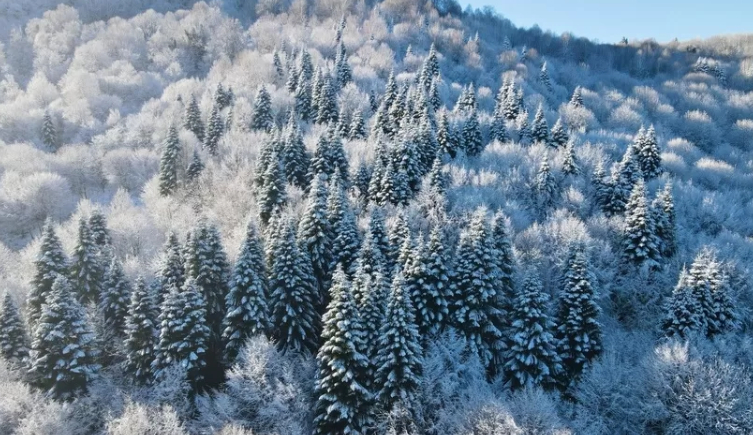 Çamdağı'nda görsel şölen