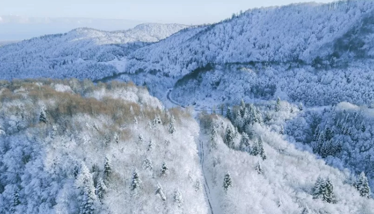 Çamdağı'nda görsel şölen