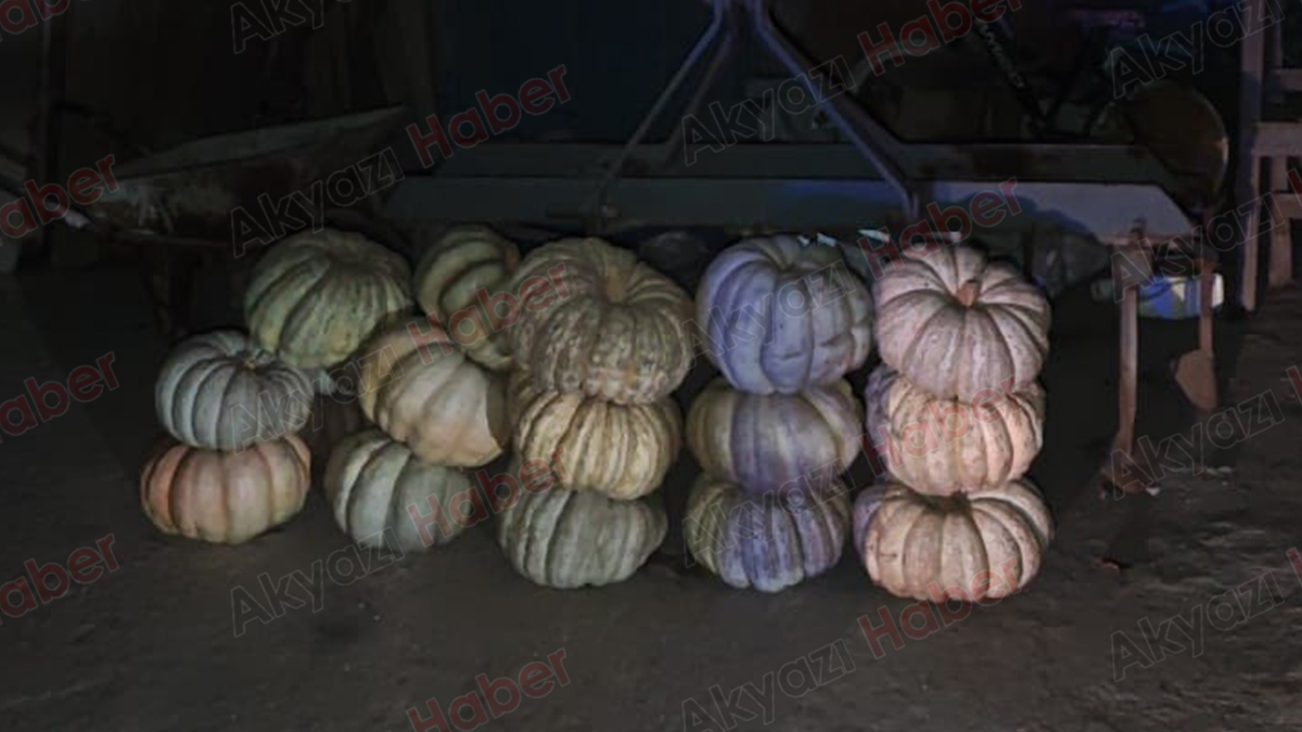 Çatıdan düşen yaşlı adam ağır yaralandı