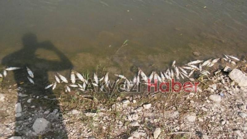 Çevreyi kirleten 36 fabrikaya ceza yağdı