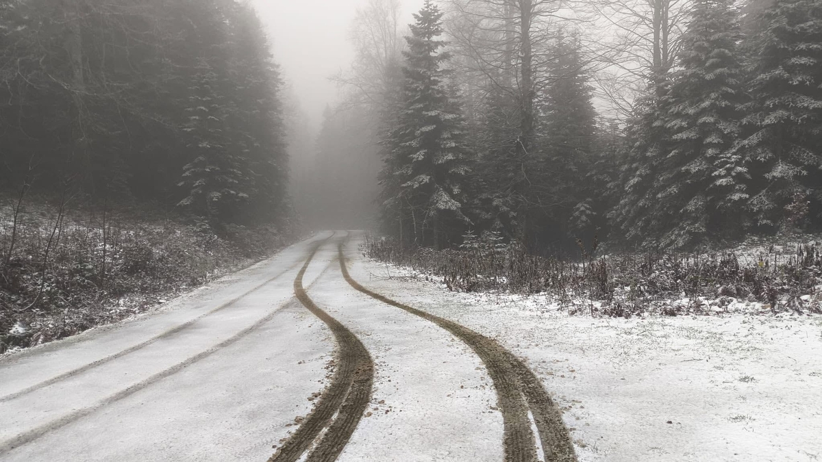 Çiğdem Yaylası'ndan kar manzarası
