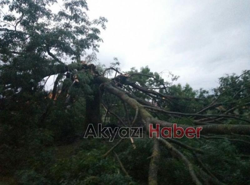 ÇOCUK PARKINA YILDIRIM DÜŞTÜ