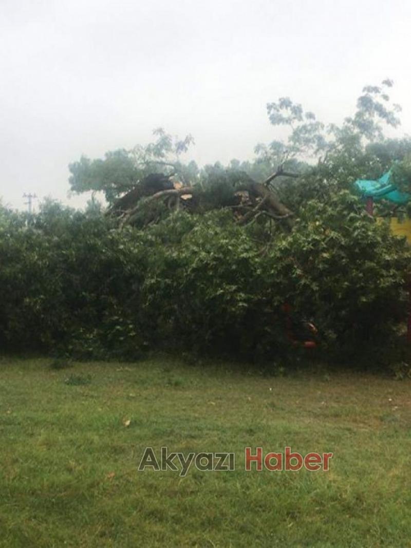 ÇOCUK PARKINA YILDIRIM DÜŞTÜ