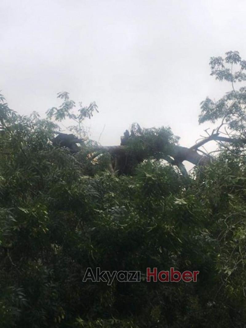 ÇOCUK PARKINA YILDIRIM DÜŞTÜ