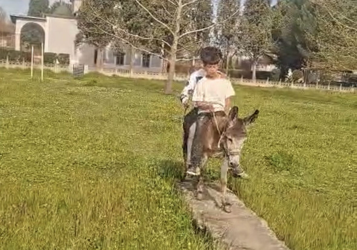 Çocuklar eşekle sokak sokak gezdi