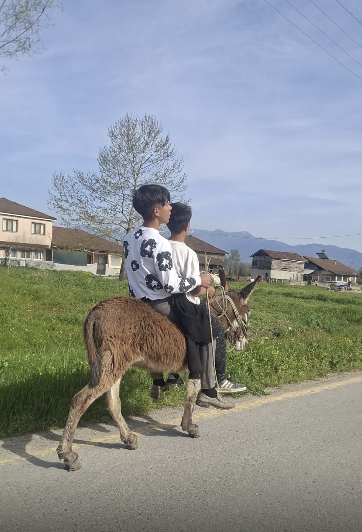 Çocuklar eşekle sokak sokak gezdi