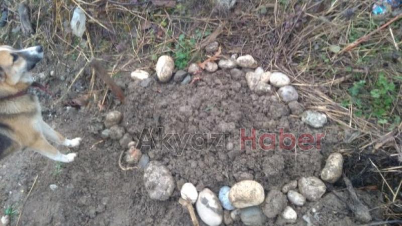 Çocuklardan takdir toplayan davranış