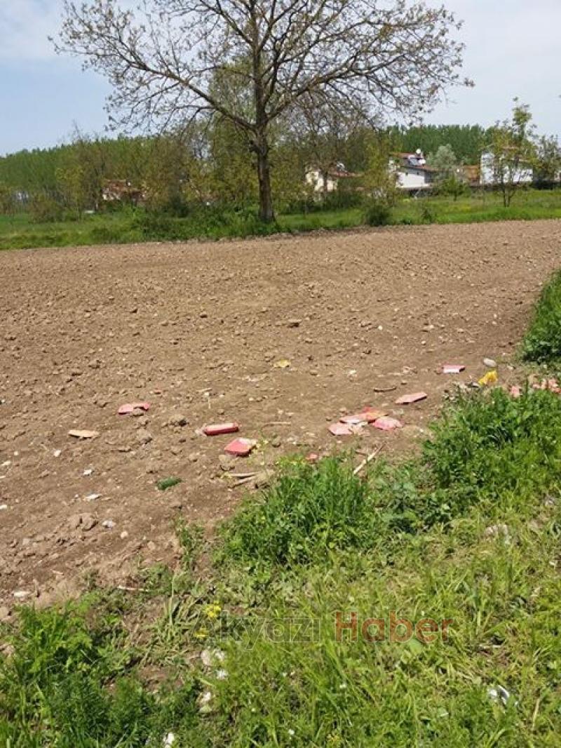 Çöpleri tarlaya atan hayvansever tepki çekti