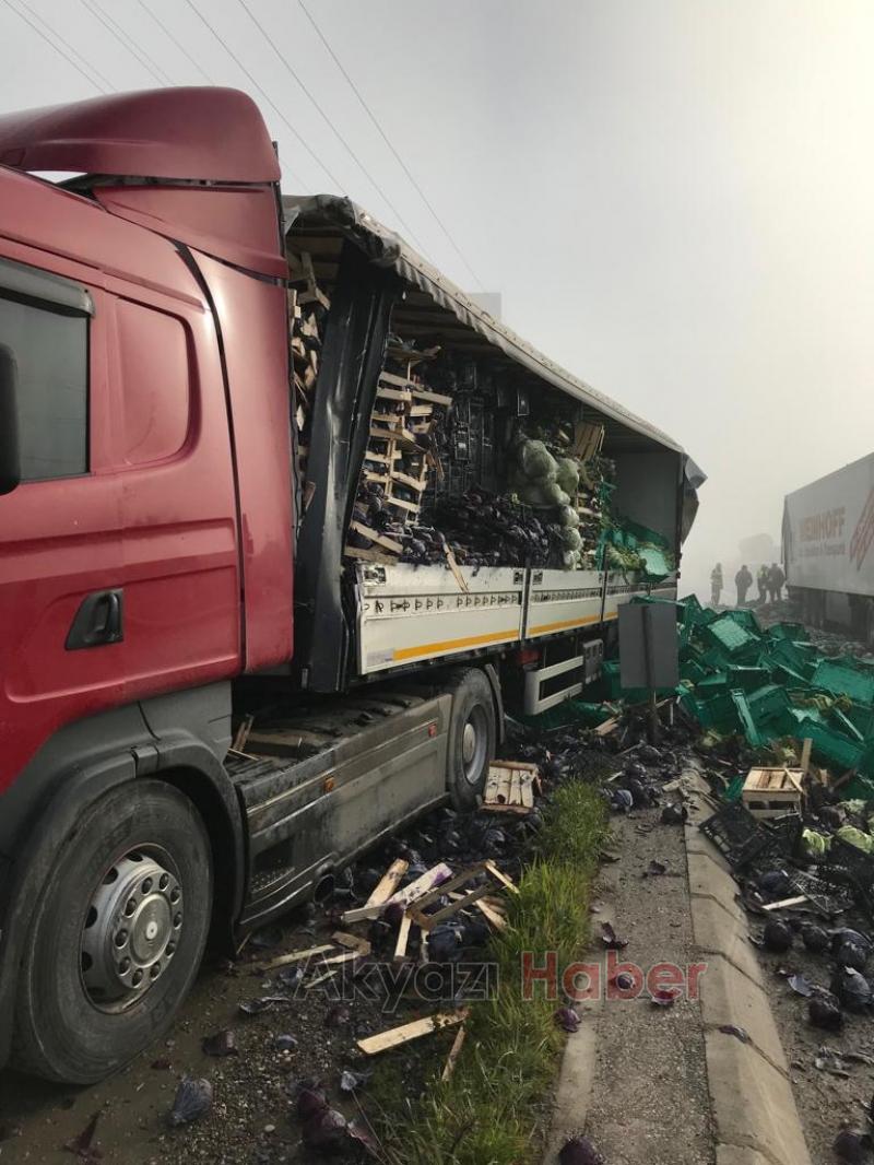 D 100 sabah saatleri Karayolu sebze bahçesine döndü