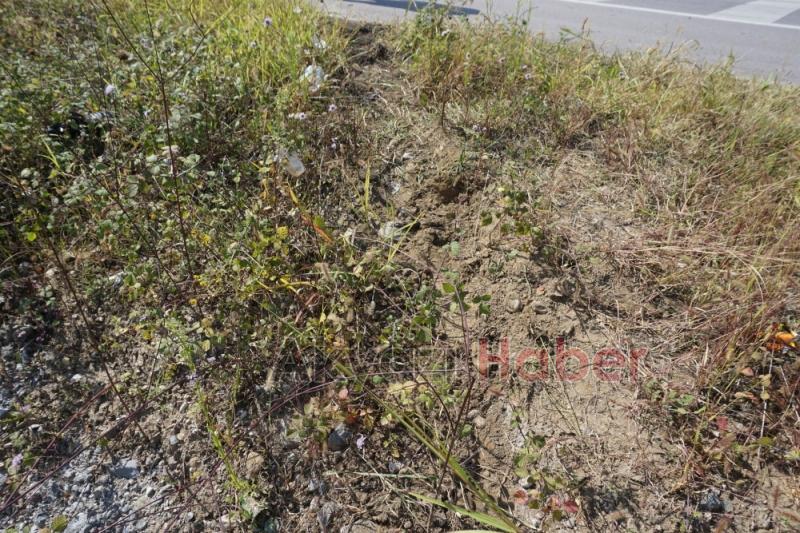 D140 da Direksiyon hakimiyetini kaybetti şarampole uçtu