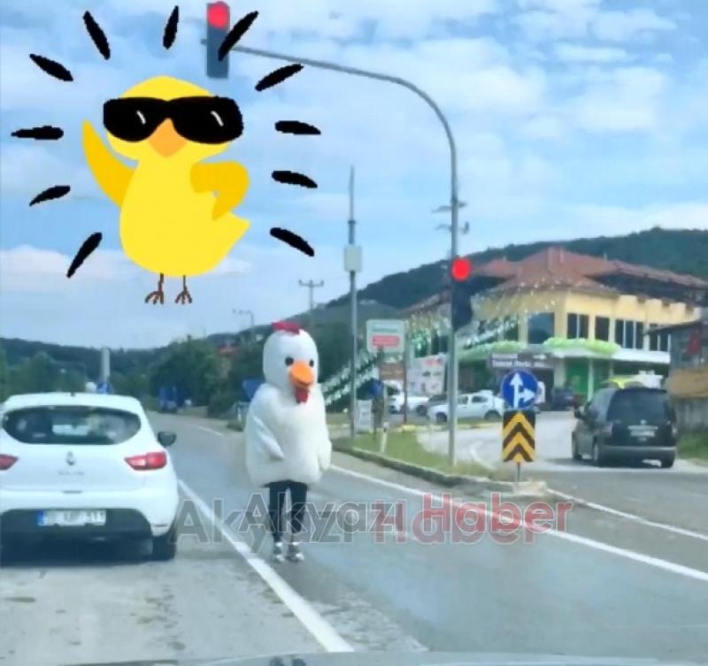 D140da Kazaya Davetiye Çıkaran Tavuk Tepki Topladı