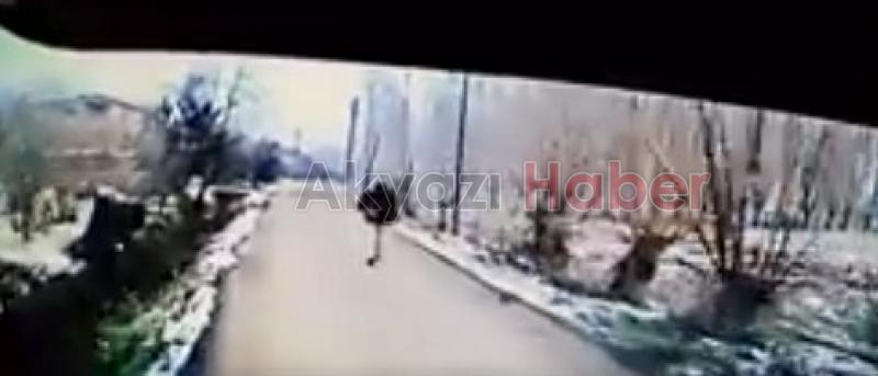 Dalgınlığı sonu oluyordu